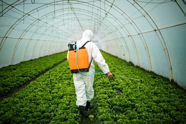 Best Residential Pest Control  in Nocona, TX