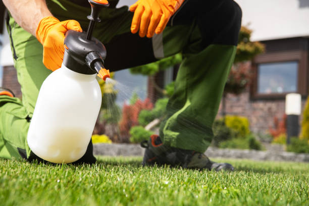 Best Best Pest Control Companies  in Nocona, TX