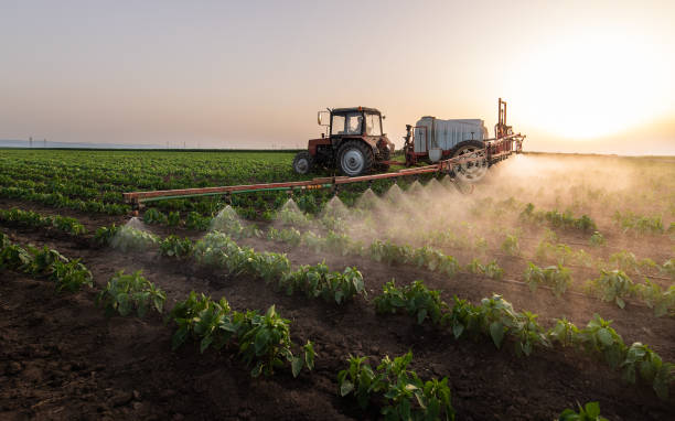 Best Wildlife Control Services  in Nocona, TX