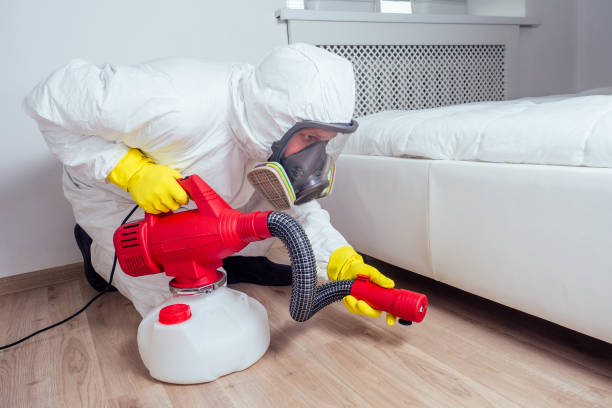 Best Affordable Pest Control Services  in Nocona, TX