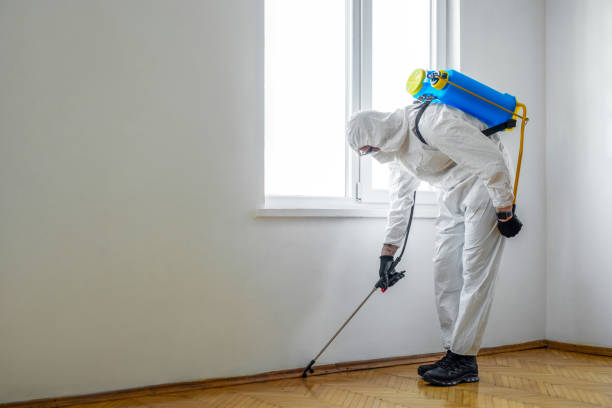 Best Best Pest Control Companies  in Nocona, TX