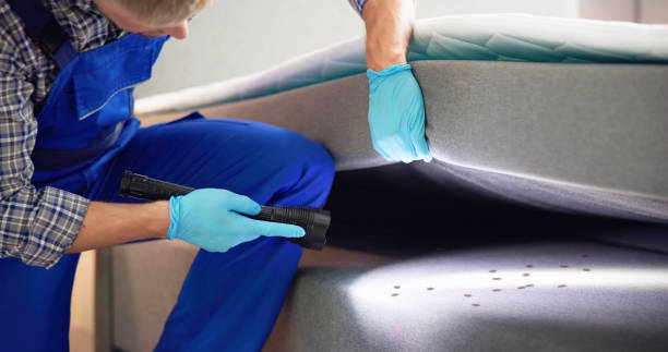 Best Flea Control Services  in Nocona, TX