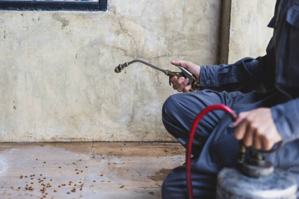 Trusted Nocona, TX Pest Control Experts